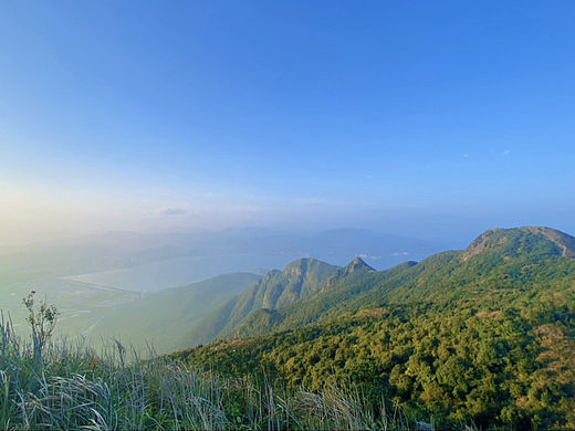 山