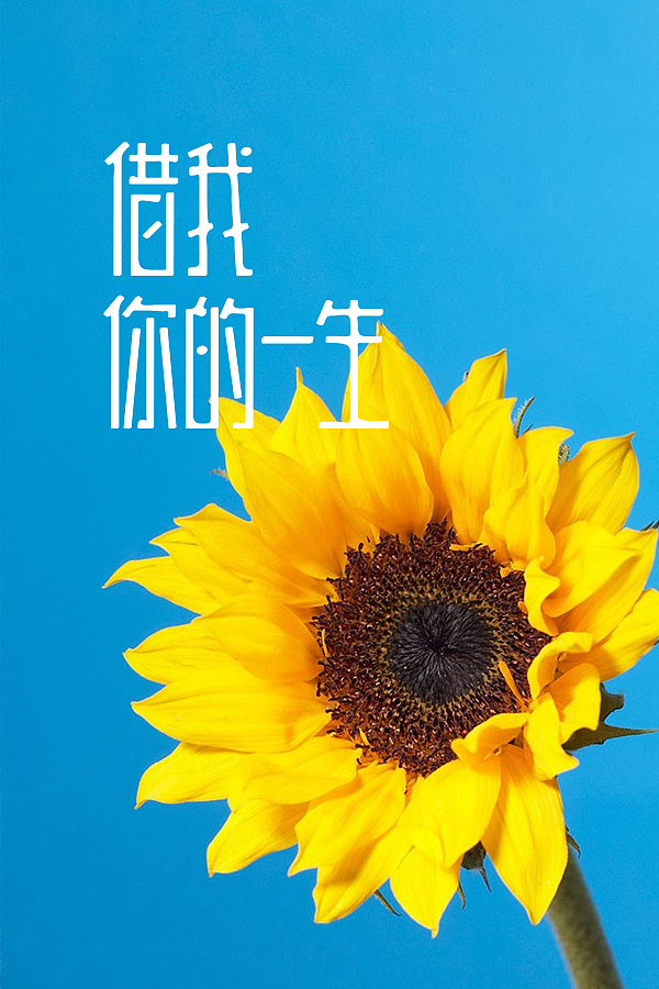 字体情绪（图ZOTQyMzUyMA==） - 字体/字形 - 站酷设计师刘兵克原创素材 - 站酷ZCOOL