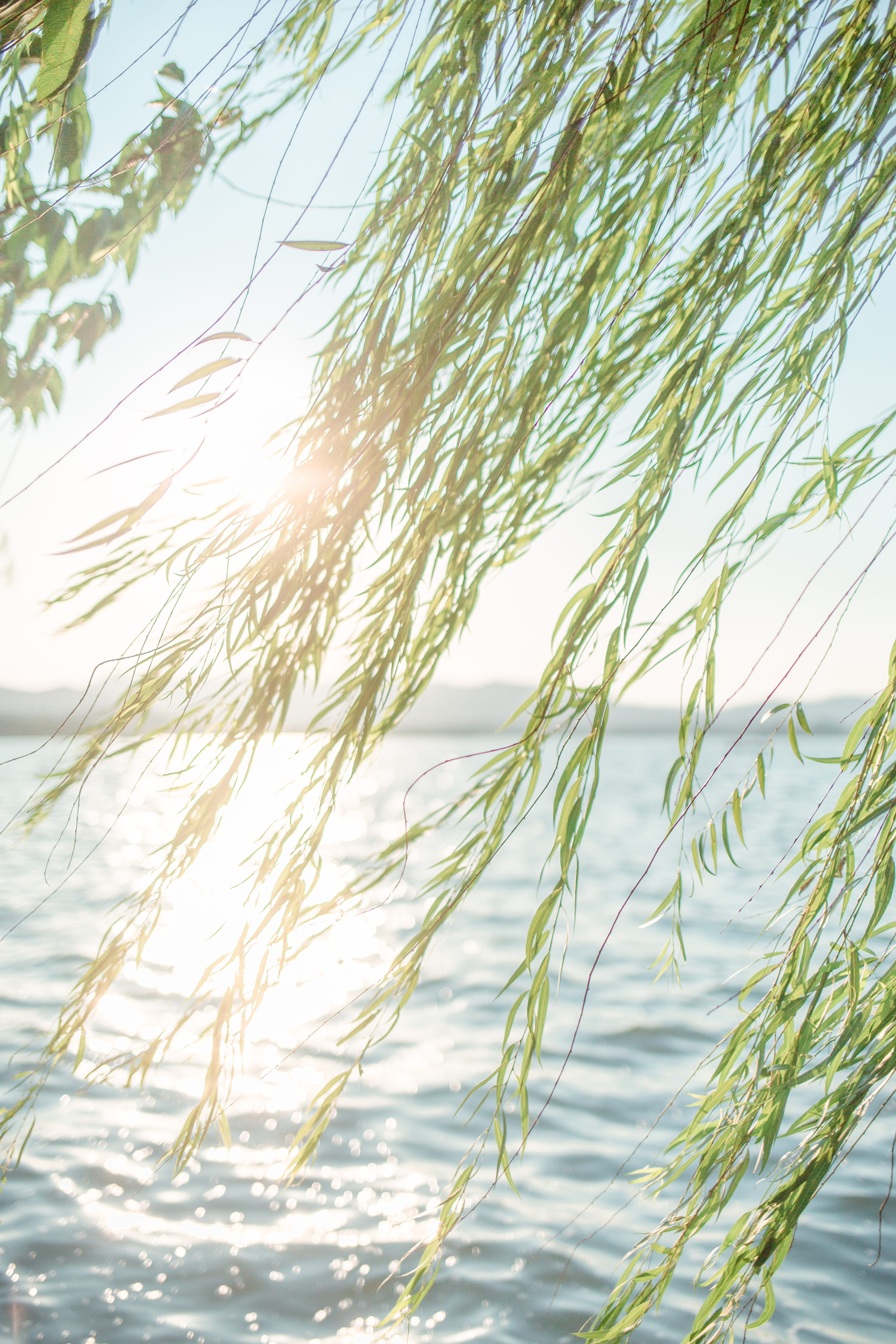 夏天悄悄的走了