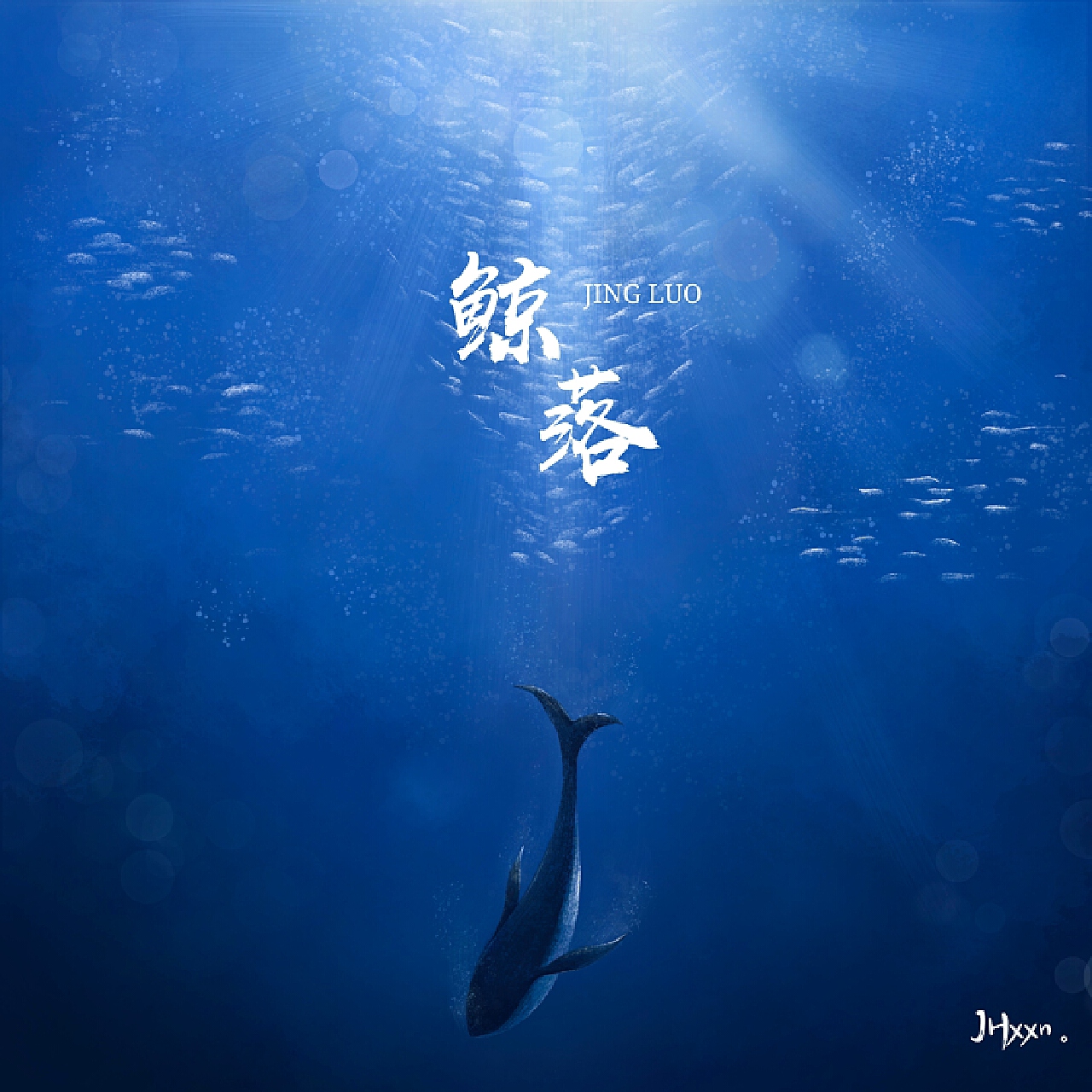 鲸|插画|插画习作|stability陳 - 原创作品 - 站酷 (ZCOOL)