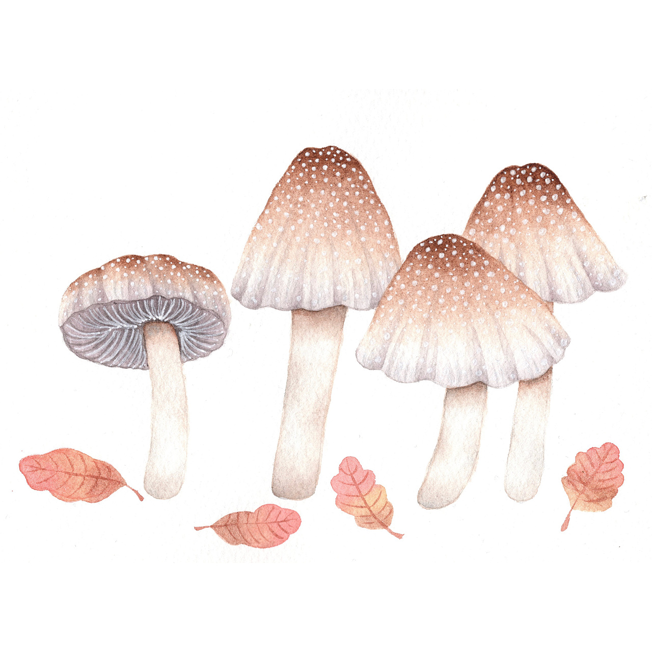 水彩|蘑菇开会|插画|创作习作|yuuyake - 原创作品 - 站酷 (zcool)