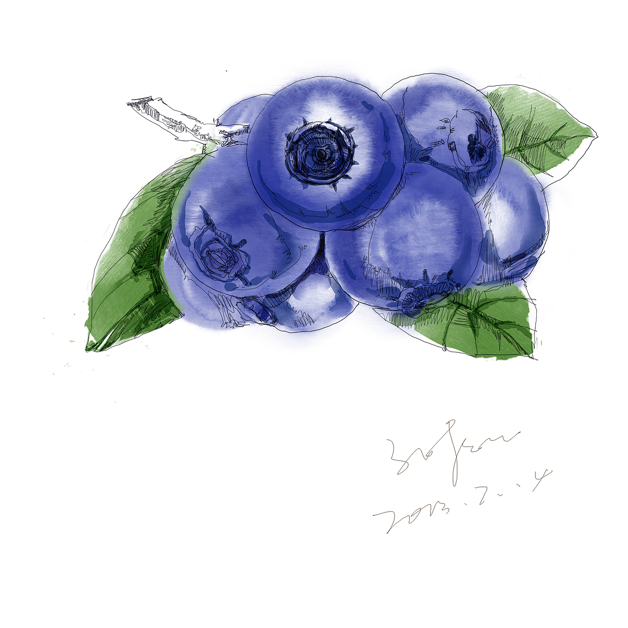 蓝莓,手绘风格,随笔插画.