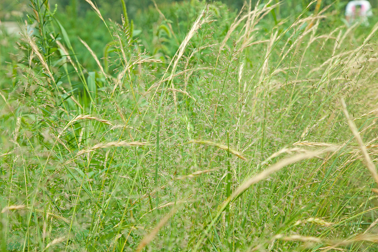 陕西洛南旅游扶贫摄影花絮集合
