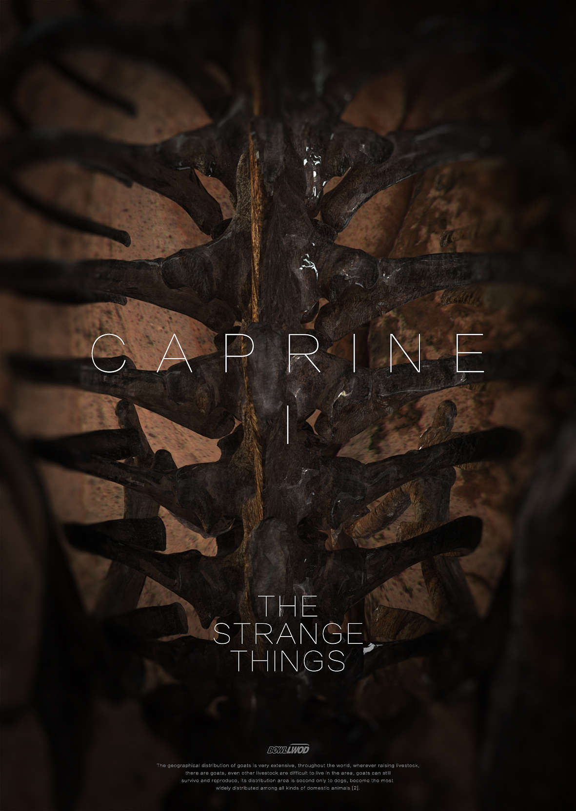 bone（图ZMjQ3MzU1MjA0） - 人物/生物 - 站酷设计师bowllwod原创素材 - 站酷ZCOOL