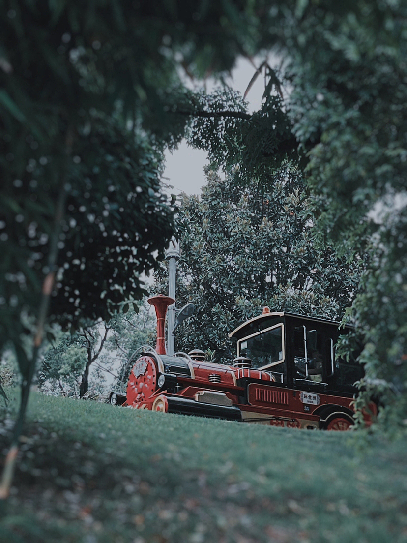 手机拍摄-湖南长沙-橘子洲