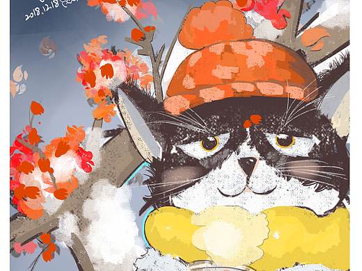 插画练习-肉饭猫