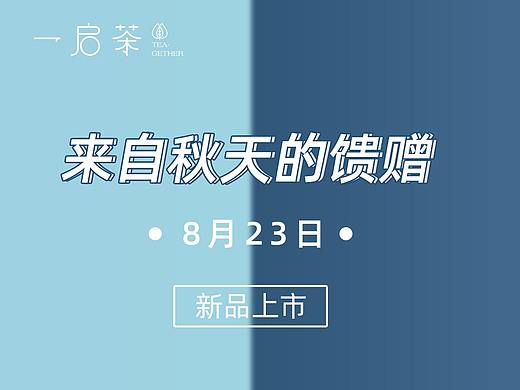 微信公众号长文推图奶茶新品上市活动宣传