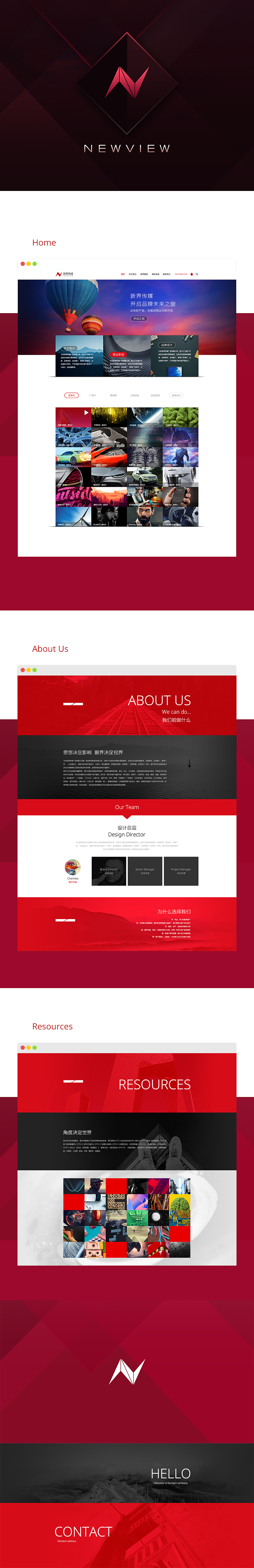 Bluelight & Newview Logo+Web Design