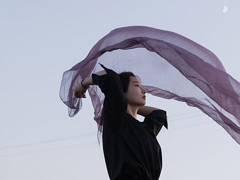 你要像旷野里的风