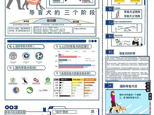 关于导盲犬的信息图表设计