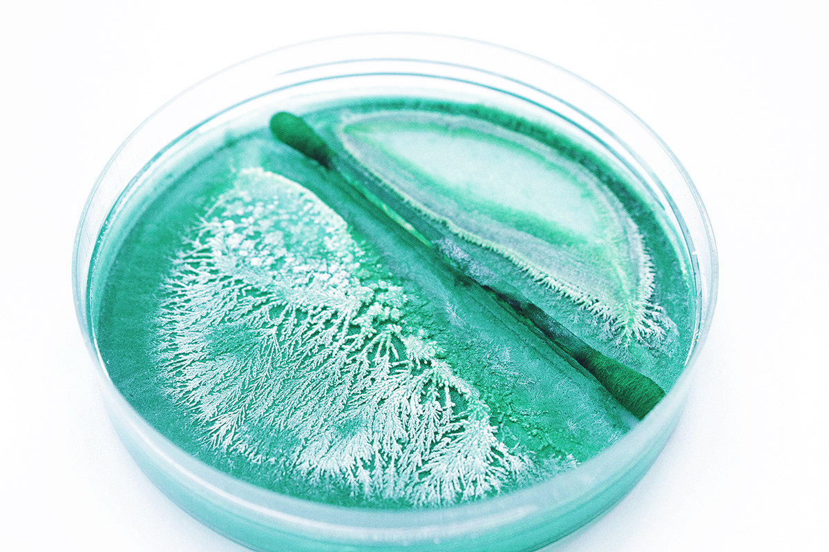 五颜六色（图ZMjAwNzMwMzky） - 产品摄影 - 站酷设计师什么都不灰灰原创素材 - 站酷ZCOOL