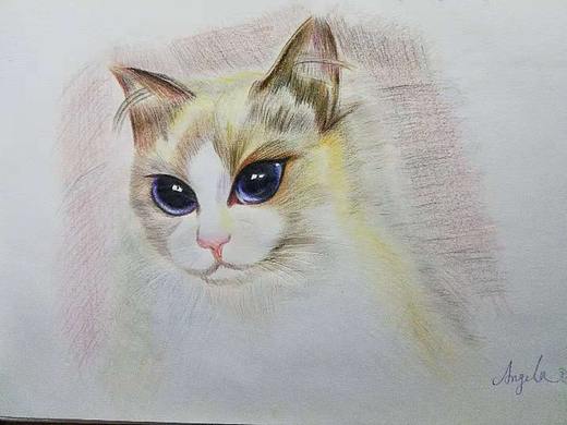绘画