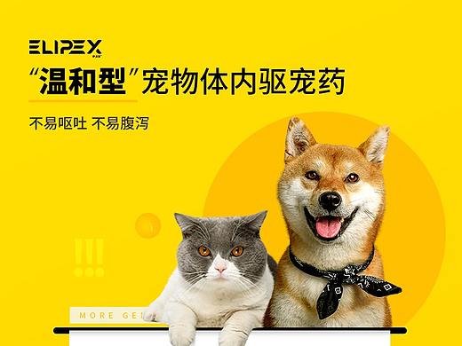 宠物类目药品保健品详情页优化