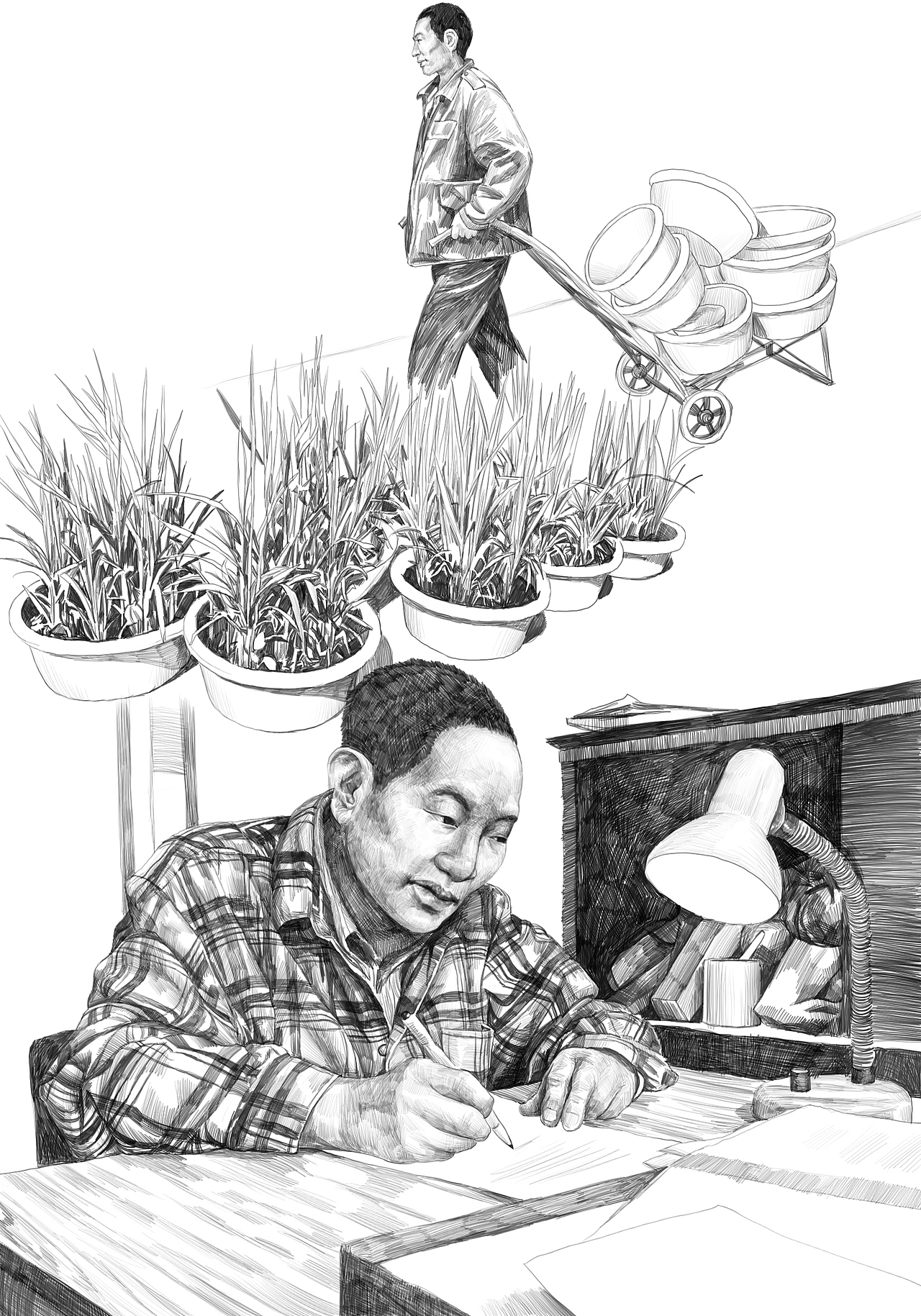 杂交水稻之父插画（图ZMjA3NDM0MDQw） - 商业插画 - 站酷设计师_五月__原创素材 - 站酷ZCOOL