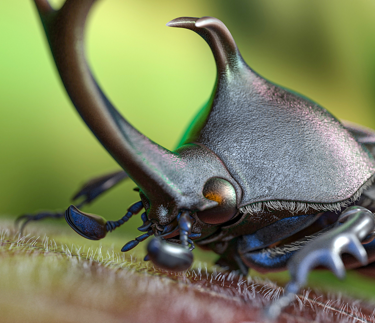 独角仙c4d超写实