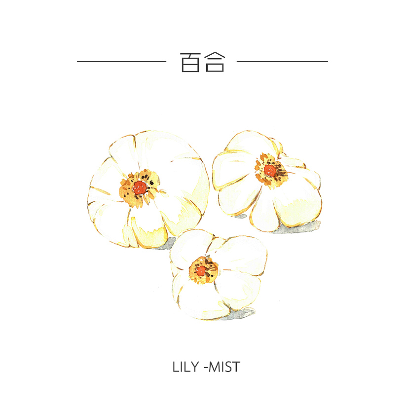 人类食谱-蔬菜（图ZMzY4MDg4ODg=） - 商业插画 - 站酷设计师反派放映原创素材 - 站酷ZCOOL