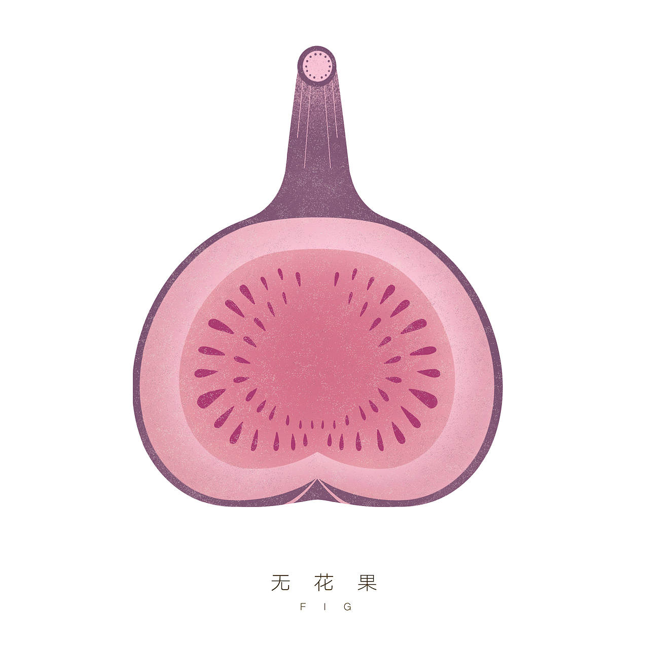 日式极简风格—水果系列