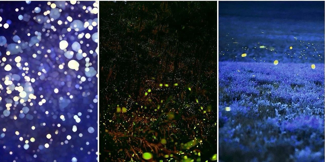 健身房设计 | D-ONE SWIM FITNESS（图ZMTgyNjU0MjM2） - 家装设计 - 站酷设计师领克设计邱南原创素材 - 站酷ZCOOL