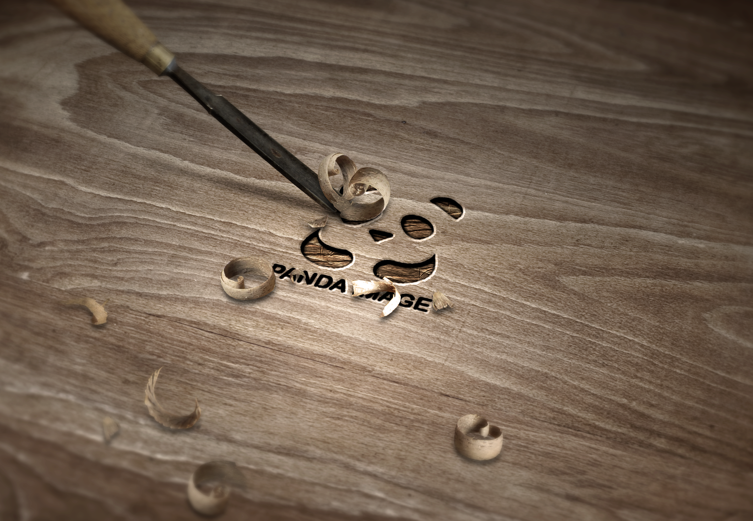 熊猫影像logo 设计