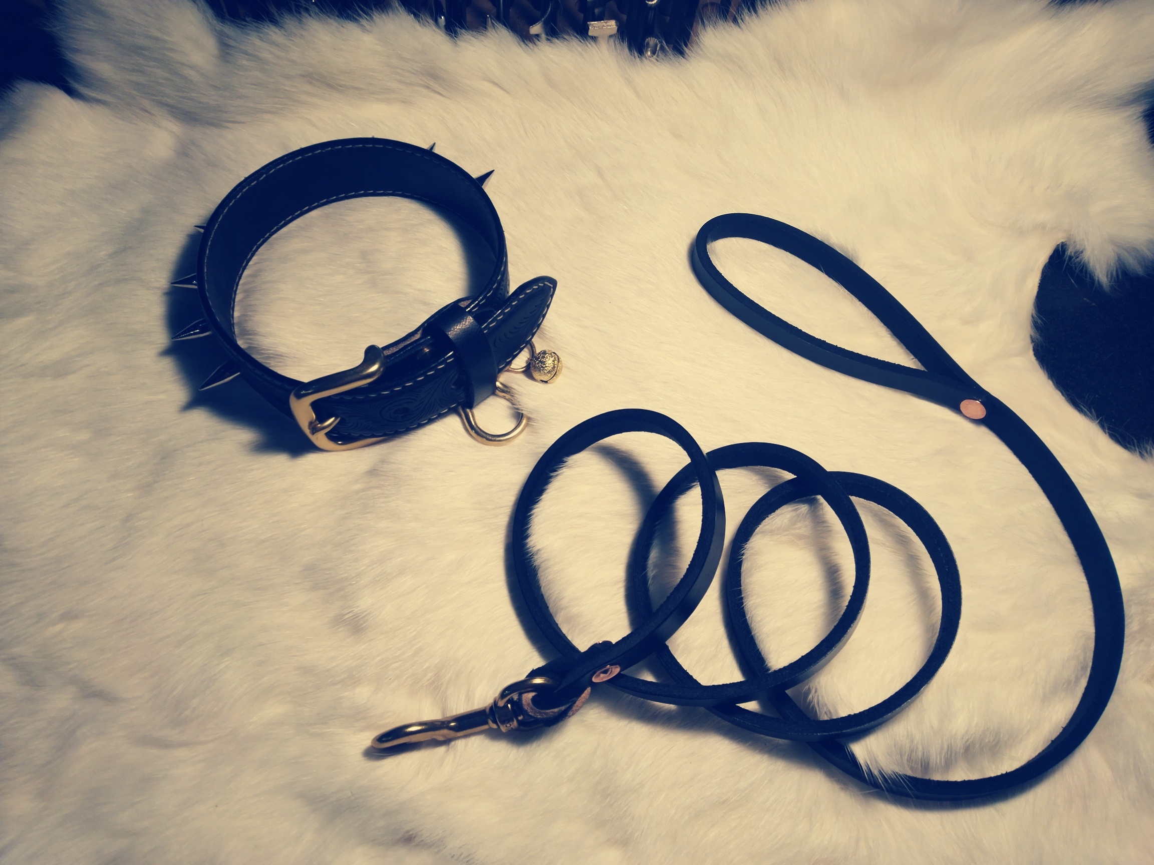 法斗项圈加牵引绳