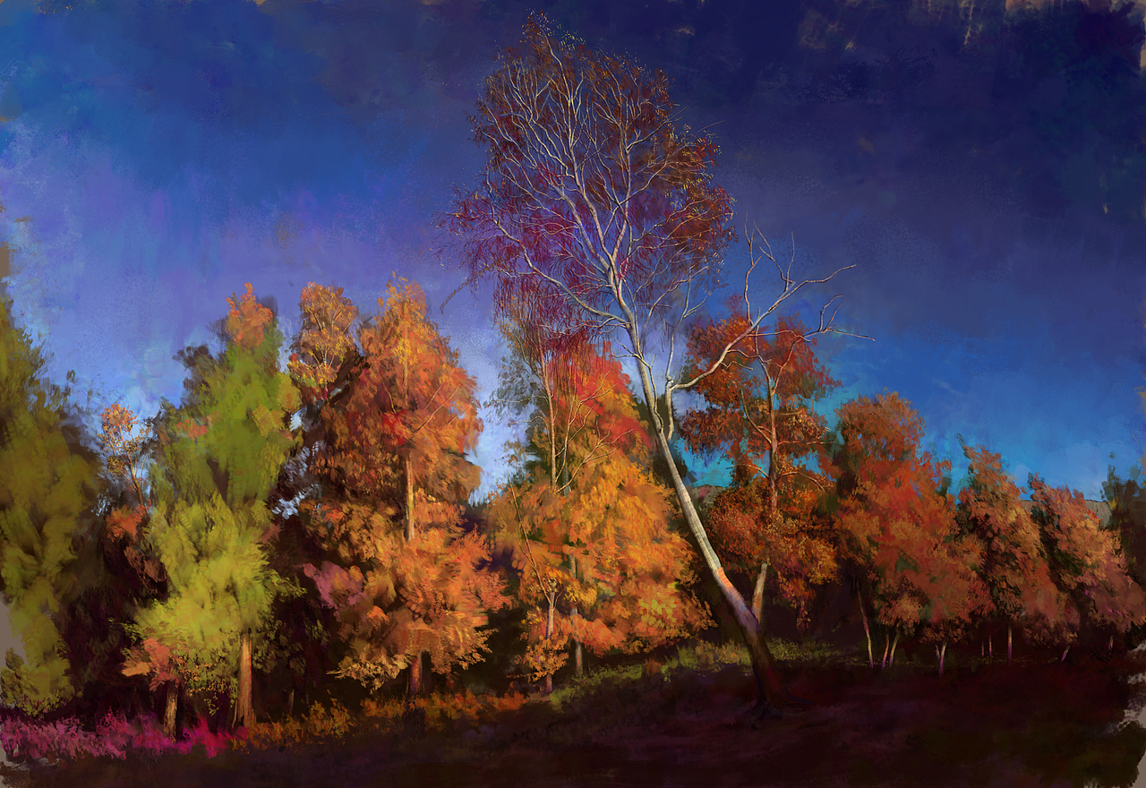 CG风景《森林习作》《秋天森林！》《废弃船船短期》（图ZMjUxMzI5MDI0） - 创作习作 - 站酷设计师地球猫猫教原创素材 - 站酷ZCOOL