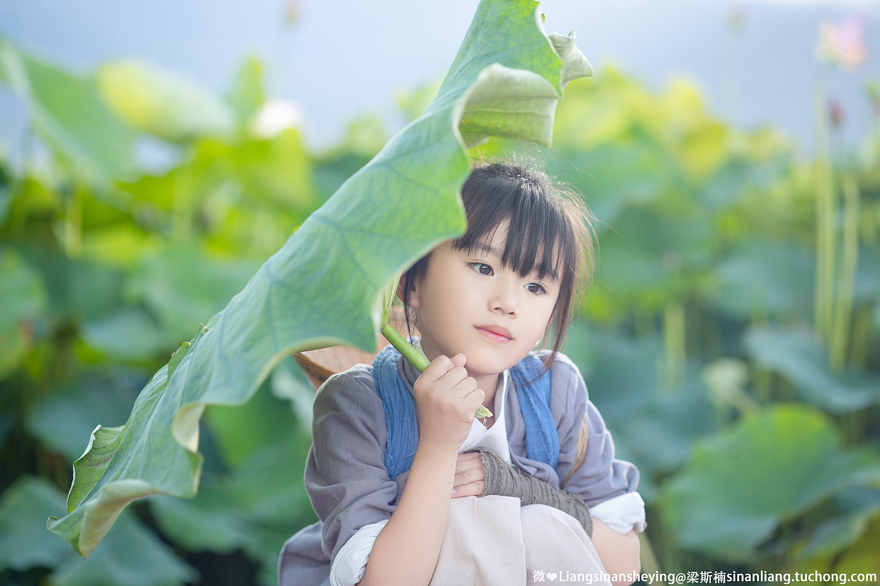 夏荷（图ZMjYyNzk2MzY0） - 人像摄影 - 站酷设计师梁斯楠原创素材 - 站酷ZCOOL