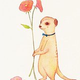 莫莫茄的头像