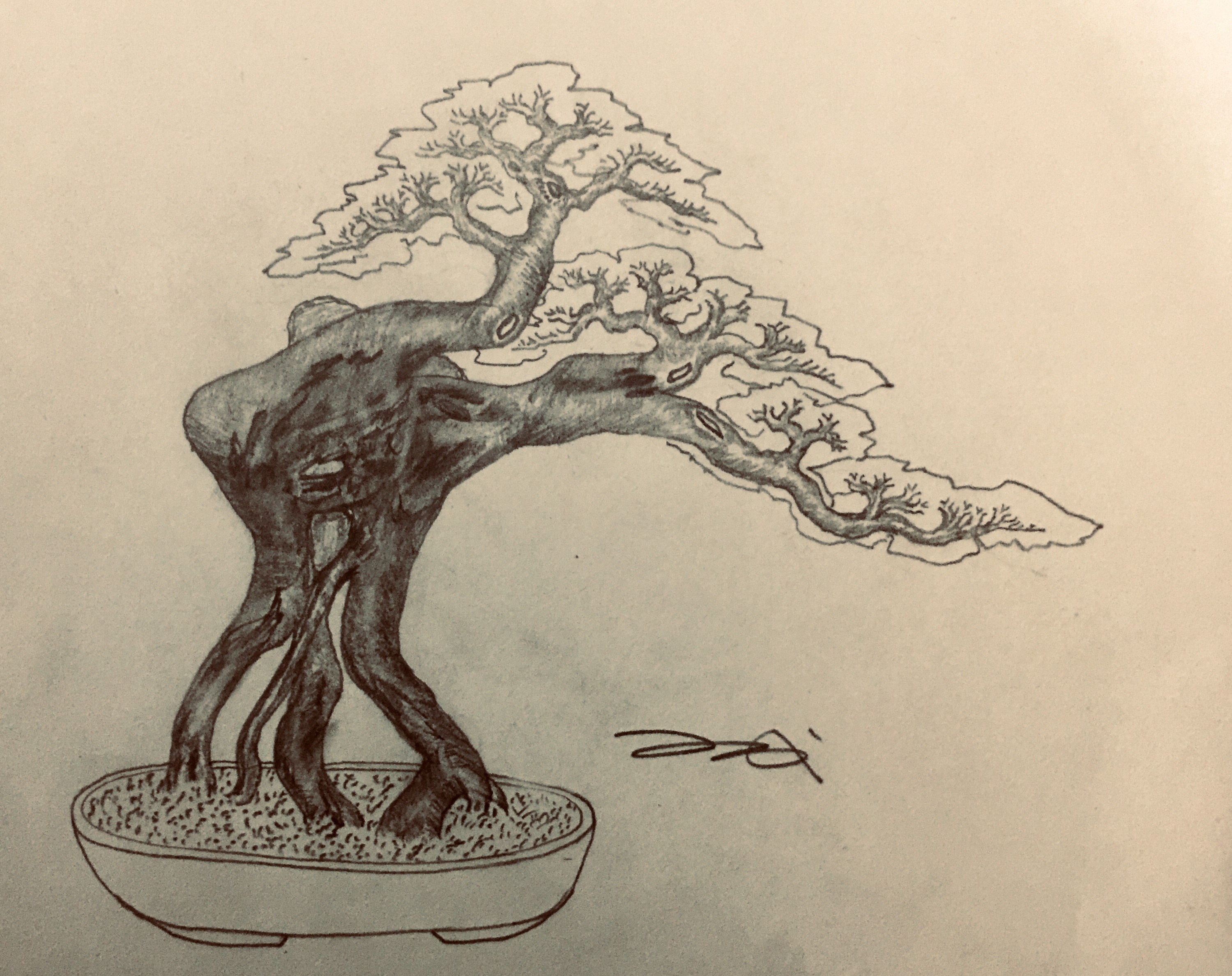 手绘盆景设计效果图|纯艺术|素描|吕绍武 - 原创作品 - 站酷 (zcool)