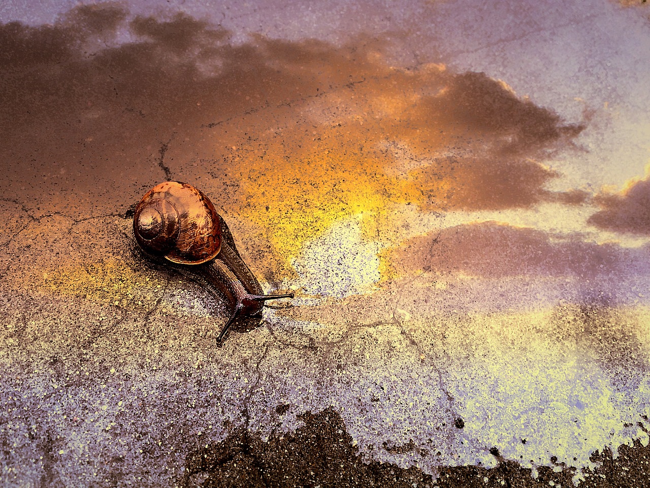 【手机摄影】法派·我工作的地方