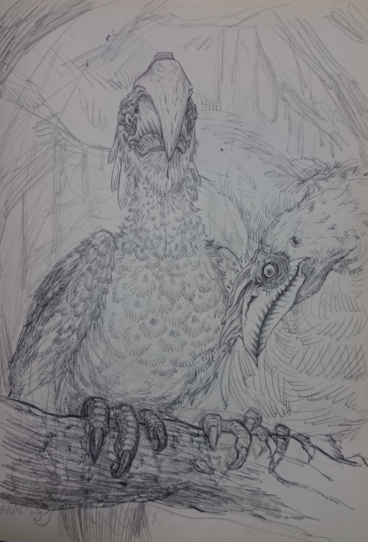 爵鸟（图ZMjQzNDA0OTI=） - 概念设定 - 站酷设计师RS61原创素材 - 站酷ZCOOL