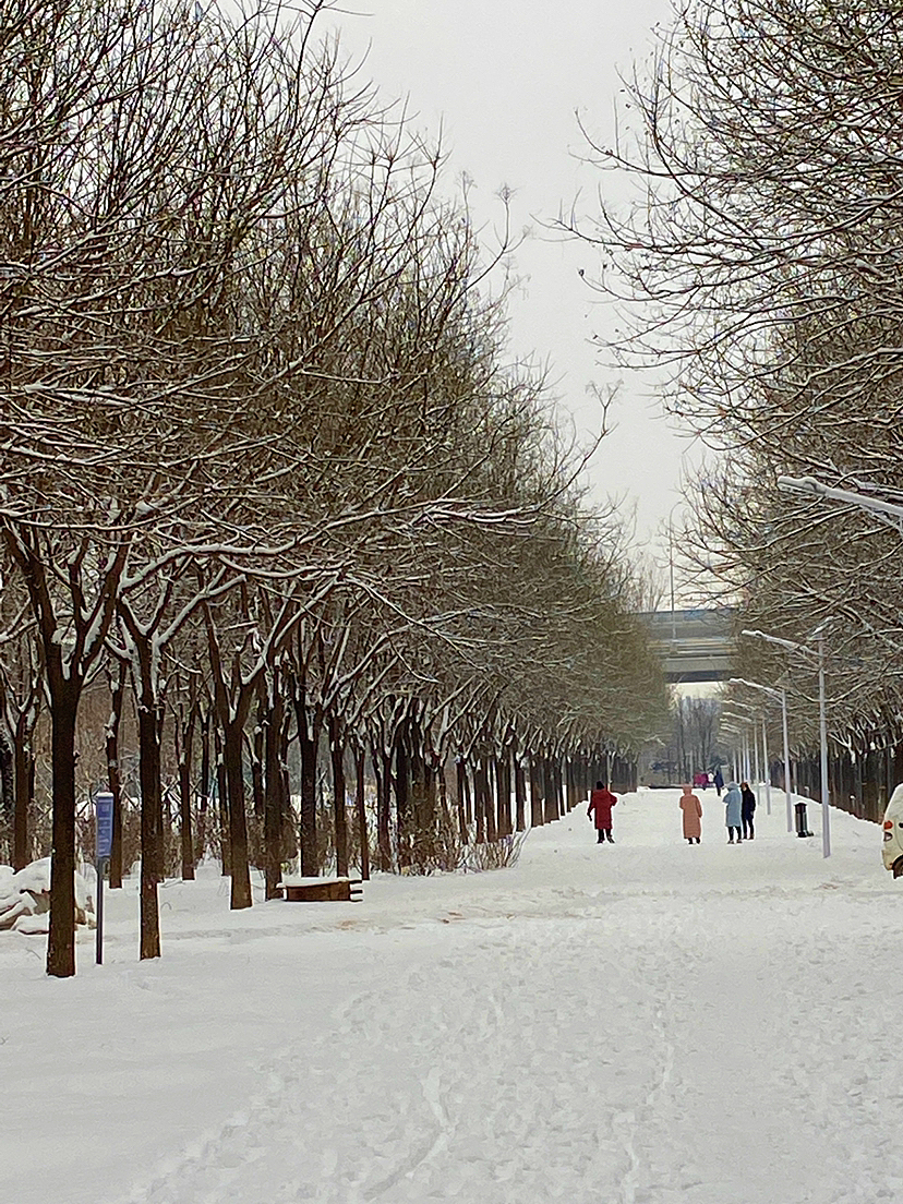 刘勇良手机纪实摄影:雪后美景