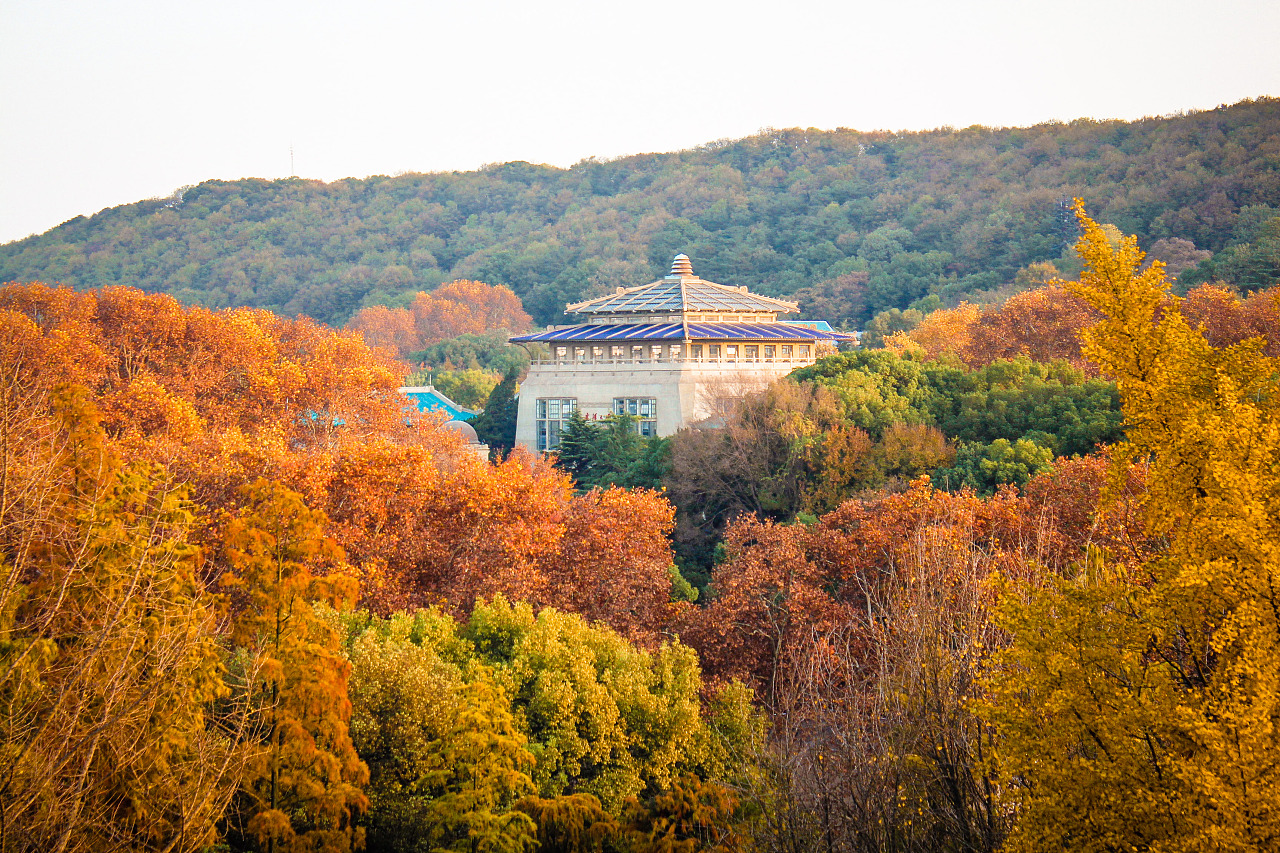 在这个最美的季节,与珞珈邂逅|摄影|风光摄影|vinke - 原创作品