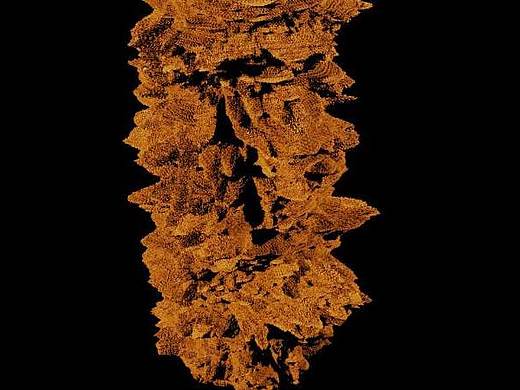 houdini 疊加 NOISE（個人主頁-ZMzI3OTcxMjA=） - 動畫/影視 - 站酷設(shè)計師七月生人原創(chuàng)素材 - 站酷ZCOOL