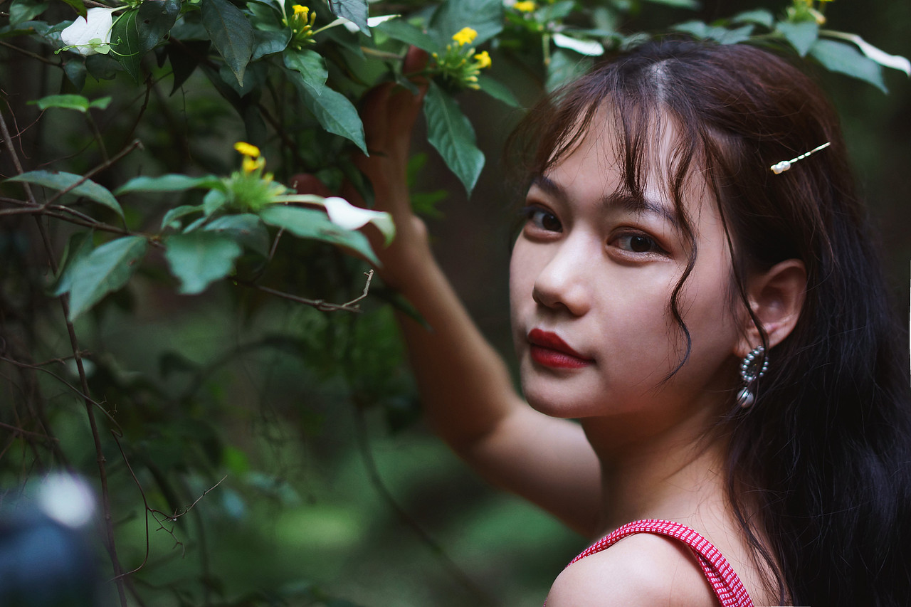 “你来听听吧, 风又吹过了那片森林”