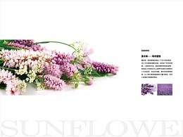 画册