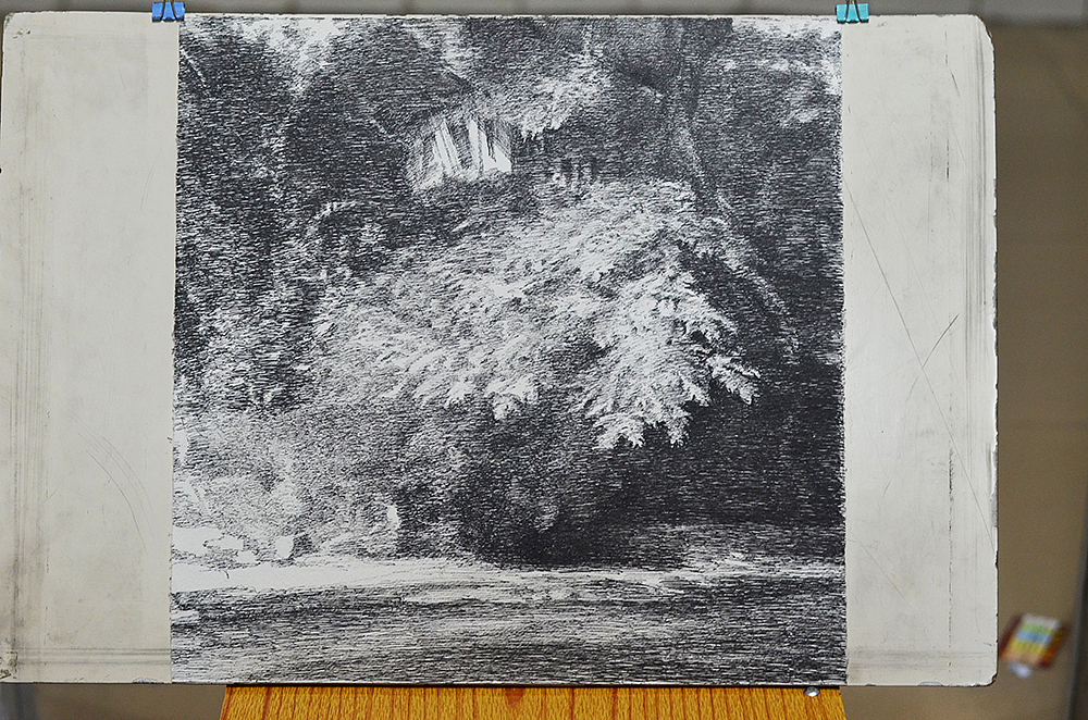 钢笔画-风景和动物