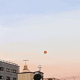 其实没什么感觉的头像