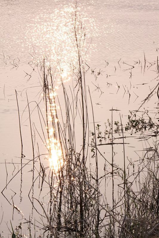 大学摄影随手拍拍（图ZMjUwOTI1OTY=） - 风光摄影 - 站酷设计师传媒摄影人原创素材 - 站酷ZCOOL