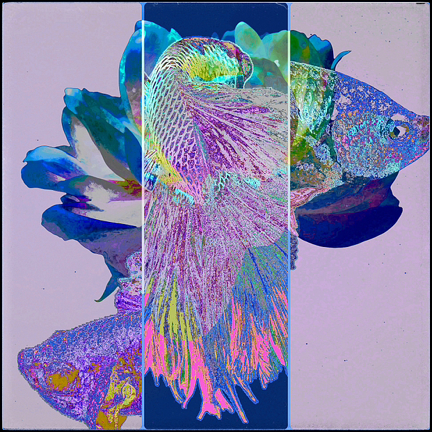 《太簇》系列图!