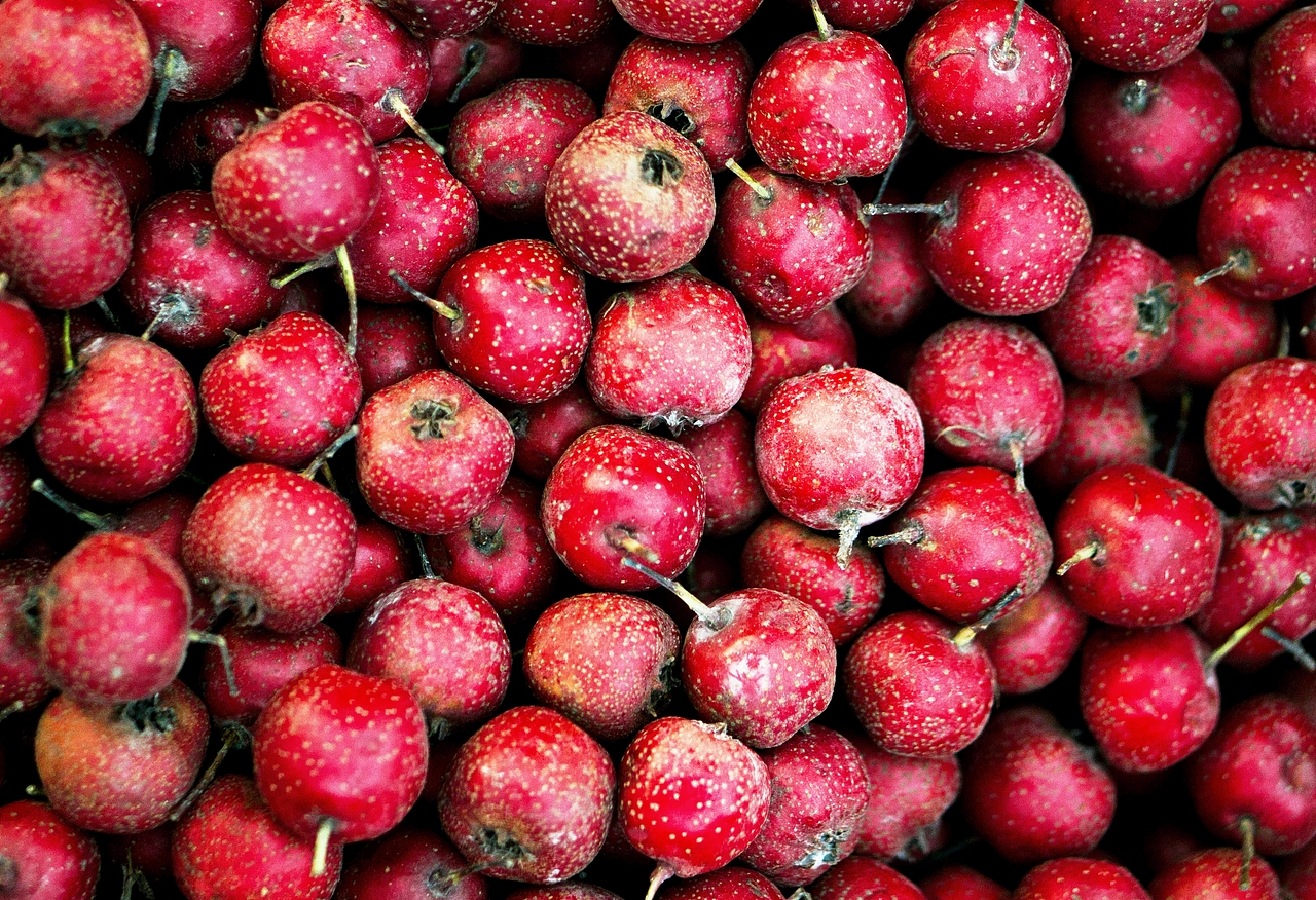 只是记录一下生活。（图ZMzkxMTQyNzY=） - 其他摄影 - 站酷设计师懂小白原创素材 - 站酷ZCOOL