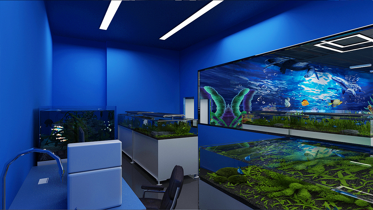 海洋馆展厅设计