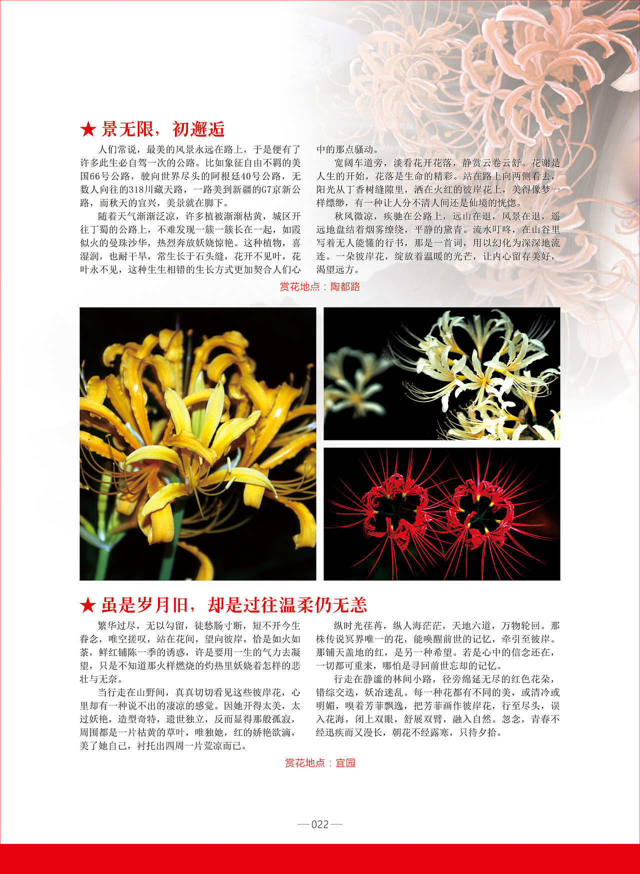 《陶都优品》2017年9月