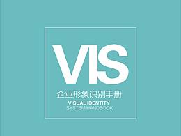 VI设计