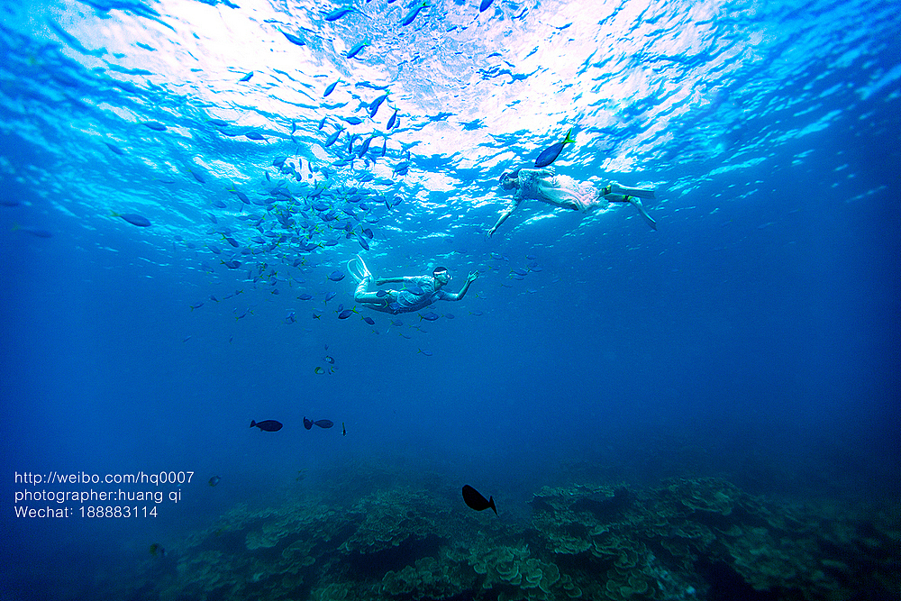 水下摄影（图ZNDUxNTY0ODQ=） - 人像摄影 - 站酷设计师摄影师黄棋原创素材 - 站酷ZCOOL