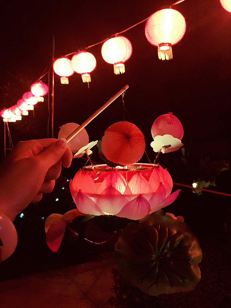 秦淮花灯戊戌年作品一夜鱼龙舞