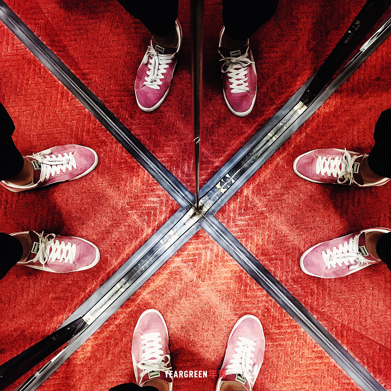 iPhone摄影 · 所见