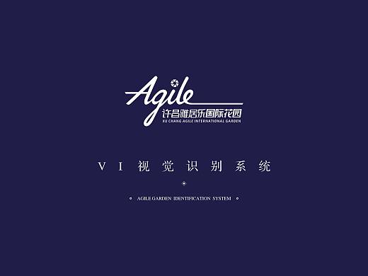雅居乐的vi飞机稿