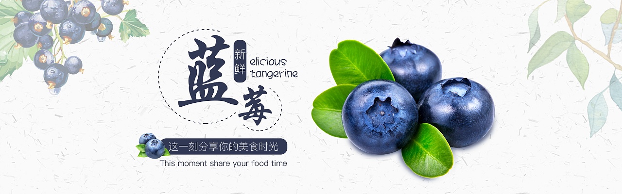 蓝莓banner图图片