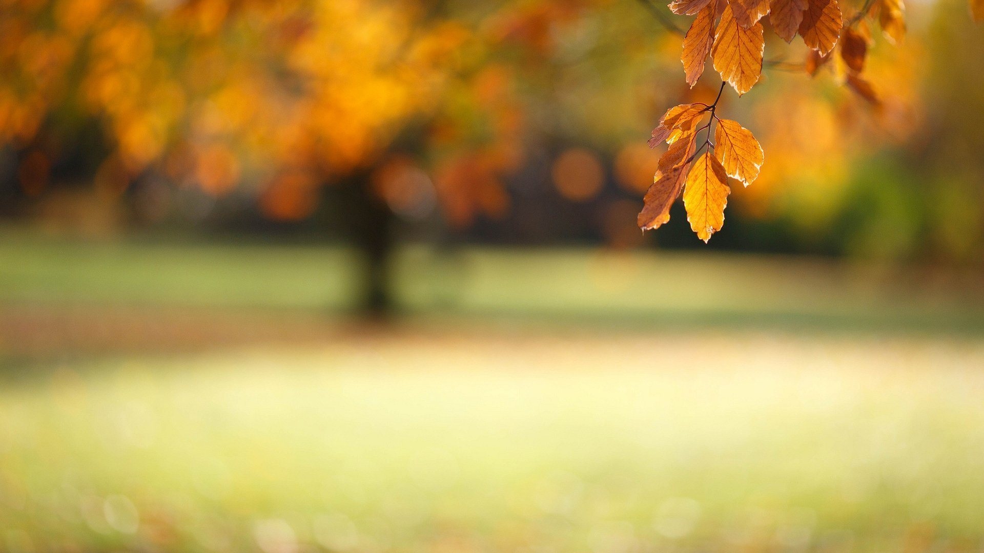 对齐纵向平铺横向平铺排列锁定背景图位置显示背景图rgb模式,300k以内
