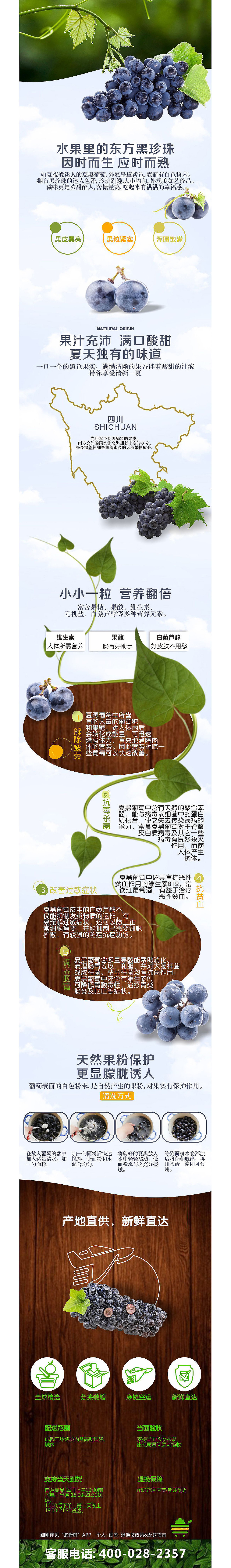 水果（图ZMTY3ODQ1MjYw） - 海报 - 站酷设计师fgdffdg原创素材 - 站酷ZCOOL